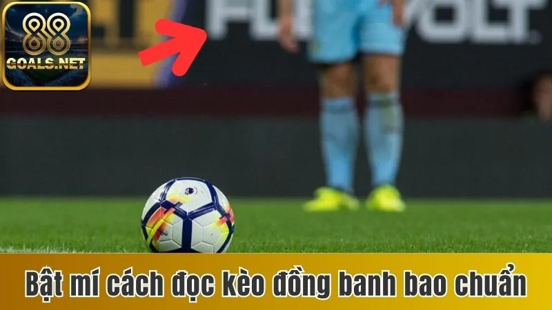 Kèo Hòa Đồng Banh - Hướng Dẫn Bạn Cách Cá Cược Thông Minh 3 Bật mí cách đọc kèo đồng banh bao chuẩn