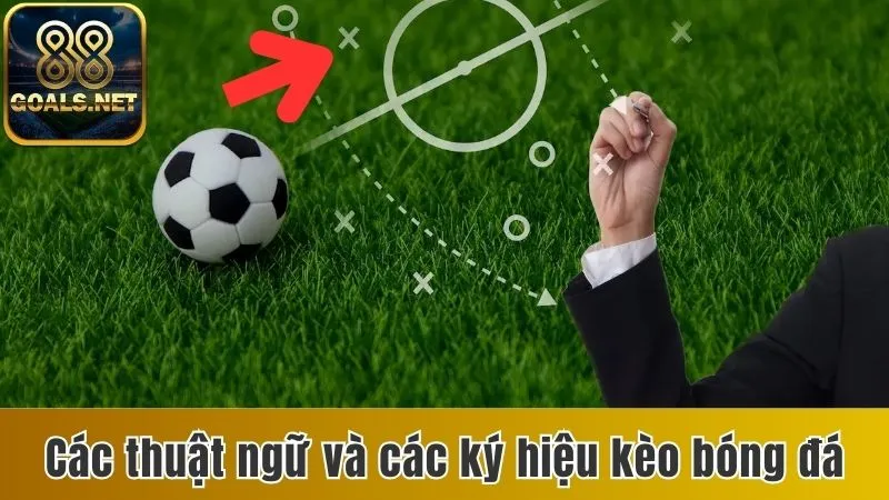 Tips Bóng Đá - Bí Quyết Chọn Cược Chuẩn Đảm Bảo Chiến Thắng 3 Các thuật ngữ và các ký hiệu kèo bóng đá