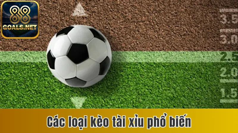 Kèo Tài Xỉu Bóng Đá Là Gì? Cách Đọc Kèo Chuẩn Xác Nhất 3 Giới thiệu các loại kèo tài xỉu bóng đá phổ biến