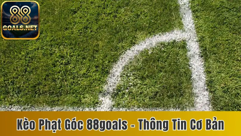 Kèo Phạt Góc Là Gì? Những Thông Tin Quan Trọng Về Kèo 8 kèo phạt góc