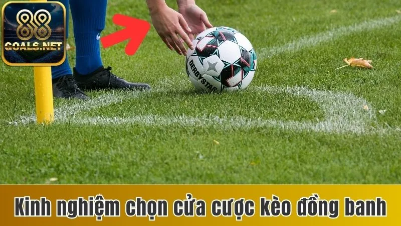 Kèo Hòa Đồng Banh - Hướng Dẫn Bạn Cách Cá Cược Thông Minh 4 Kinh nghiệm chọn cửa cược kèo đồng banh