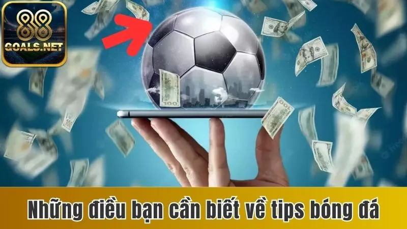 Tips Bóng Đá - Bí Quyết Chọn Cược Chuẩn Đảm Bảo Chiến Thắng 2 Những điều bạn cần biết về tips bóng đá