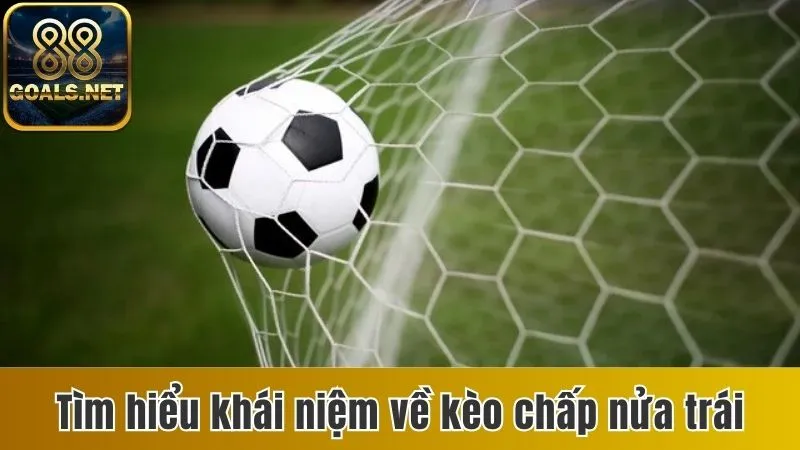 Kèo Chấp Nửa Trái Là Gì? Cách Chơi Chuẩn Nhất Cho Người Mới 2 Tìm hiểu khái niệm về kèo chấp nửa trái